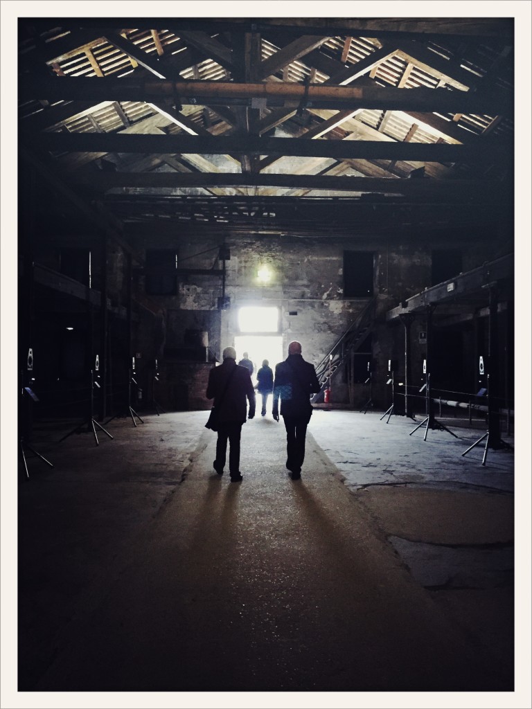 Istituto Italo-Latino, Venice Art Biennale 2015 © photo Lower East